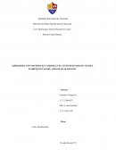 Aspiradora con materiales caseros