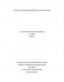 Análisis organizacional de una empresa