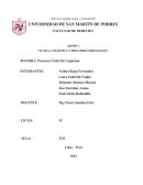 Tutela cognitiva y principios procesales