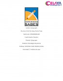 Análisis del caso de PEMEX