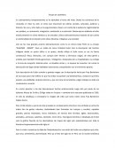 Ensayo de castellano