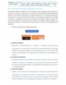 Caso: New Heritage Doll Company. El presupuesto de inversión