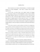 Desarrollo de las infancias institucionalizadas y en familias de acogida temporal: Una revisión bibliográfica