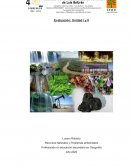 Recursos Naturales y Problemas ambientales