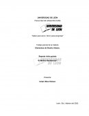 Reporte visita guiada “El Molino Residencial”