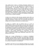 Entrevista a profesional de Terapeuta Ocupacional