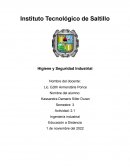 Higiene y Seguridad Industrial. Carnicerías El Toro