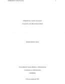 Formatos y manuales que utilizan las organizaciones