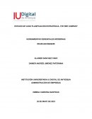 Estudio de caso planificación estratégica- The Bee Company