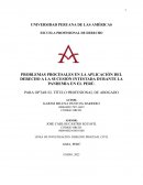 Problemas procesales en la aplicación del derecho a la sucesión intestada durante la pandemia en el Perú