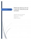 Peritaje social en violencia de género