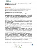 Prácrica profesional - informe final sobre vaciadero