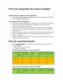 Proyecto integrador de transversalidad. Página 1