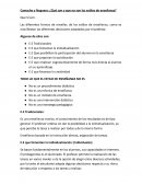 Camacho y Noguera: ¿Qué son y que no son los estilos de enseñanza?