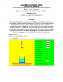 Principio De Arquimides y Aplicaciones