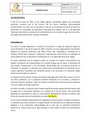 Departamento ambiental. Informe visual