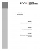 Estados financiero ejercicio 2