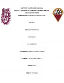 El comercio - Derecho mercantil