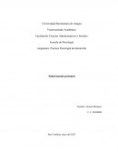 Practica Psicología del desarrollo. Salud mental perinatal