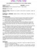 Los acuerdos de convivencia de la sala cóndor andino