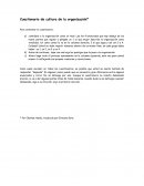 Cuestionario de cultura de la organización