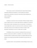 Resumen ejecutivo. Empresa Janssen