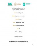 Actividad diagnóstica. Derecho constitucional