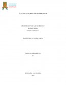 Aspecto demográfico