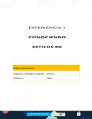 Conociendo estilos de liderazgo en logística