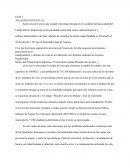 Programa de educación ambiental