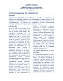 Materia orgánica en meteoritos