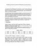 Informe auditoría de análisis financiero Celulosa Arauco