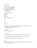 Mitosis y Meiosis. División Celular