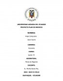 Plan de negocios. Calzado Ecológico