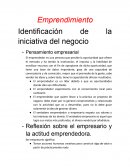Identificación de la iniciativa del negocio