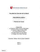 Psicopatología II Práctica de Casos
