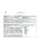 Formato de planificación