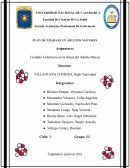 Cuidados enfermero en la salud del adulto mayor