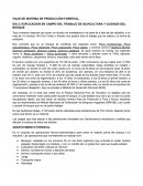 Viaje de sistema de producción forestal