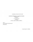 Una perspectiva global