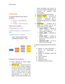 Treponema pallidum Generalidades. Página 2