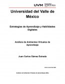 Análisis de Ambientes Virtuales de Aprendizaje