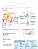 Interrogatorio digestivo