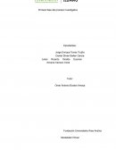 Primera fase del proceso investigativo