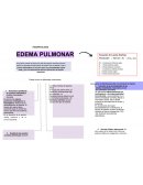 Fisiopatología: edema pulmonar