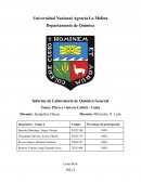 Pisco y vino en Cañete - Lima