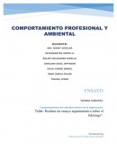 Comportamientos de individuos dentro de la organización