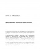 Teoría de las Organizaciones y Análisis Institucional