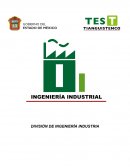 Práctica Propiedades físicas y químicas