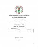 Consulta célula procariota y eucariota